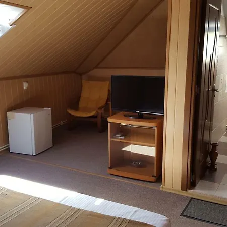 Vila Liana * コスティネシュティ